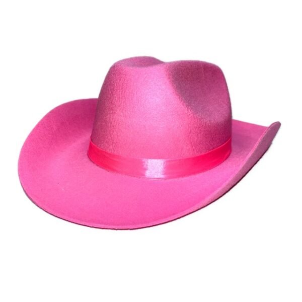 Sombrero cowboy liso